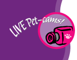 Live Pet-cams!